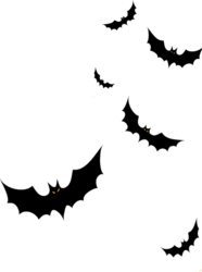 nietoperz img